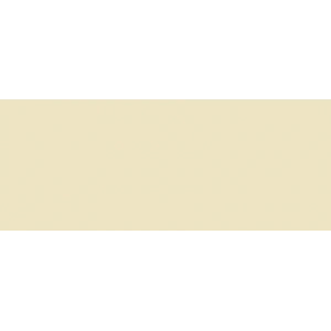 Copic Sketch Marker E81 Ivory