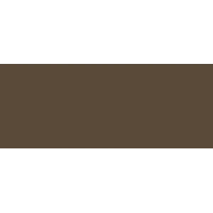 Copic Sketch Marker E89 Pecan