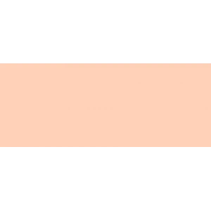 Copic Sketch Marker E93 Tea Rose