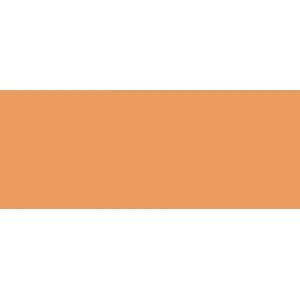 Copic Sketch Marker E97 Deep Orange