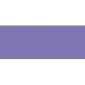 Copic Sketch Marker Fv2 Fluorescent Dull Violet