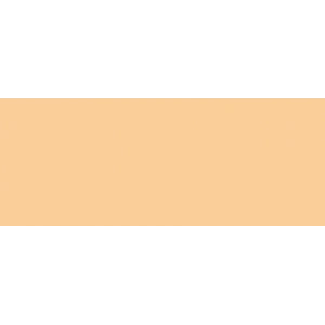 Copic Sketch Marker FYR1 Fluorescent Orange