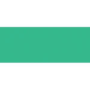 Copic Sketch Marker G19 Bright Parrot Green