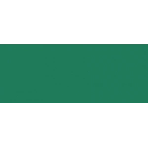 Copic Sketch Marker G29 Pine Tree Green