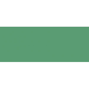 Copic Sketch Marker G46 Mistletoe