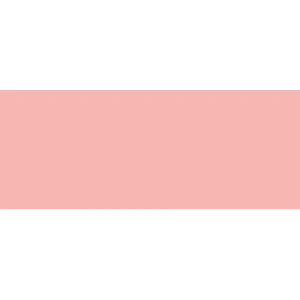 Copic Sketch Marker R22 Light Prawn