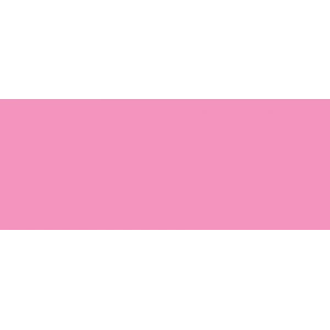 Copic Sketch Marker Rv25 Dog Rose Flower