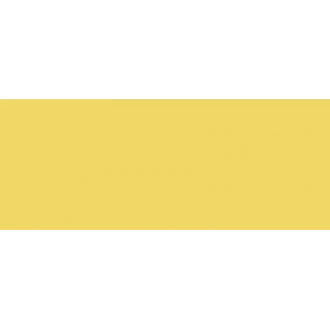 Copic Sketch Marker Y26 Mustard