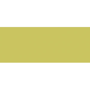 Copic Sketch Marker Yg95 Pale Olive