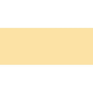 Copic Sketch Marker YR12 Loquat