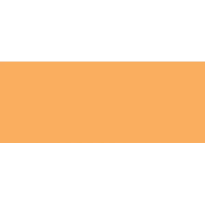 Copic Sketch Marker YR65 Atoll