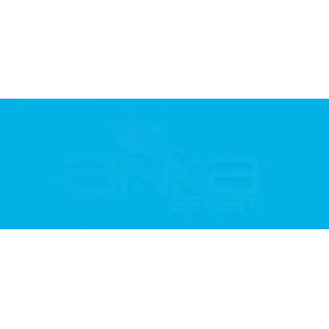 Copic Various Ink B06 Peacok Blue