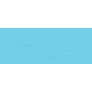 Copic Various Ink B14 Light Blue