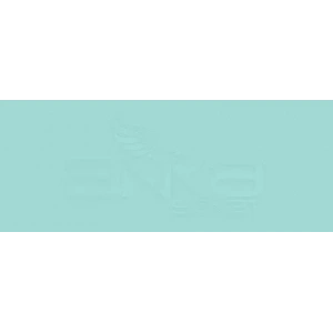 Copic Various Ink BG15 Aqua