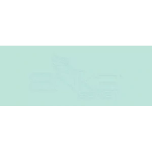 Copic Various Ink Bg23 Coral Sea