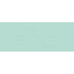 Copic Various Ink BG34 Horizon Green