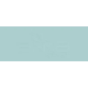 Copic Various Ink Bg53 Ice Mint