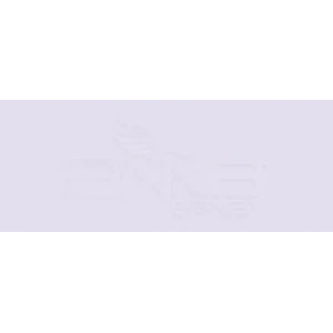 Copic Various Ink BV000 Iridescent Mauve