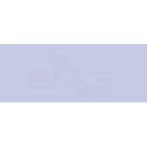 Copic Various Ink BV01 Viola