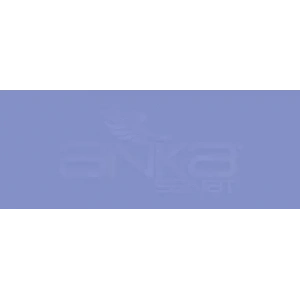 Copic Various Ink Bv13 Hydrangea Blue