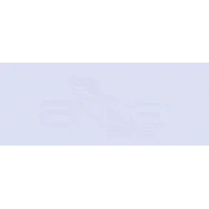 Copic Various Ink BV31 Pale Lavender