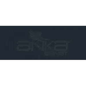 Copic Various Ink C-10 Cool Gray No.10