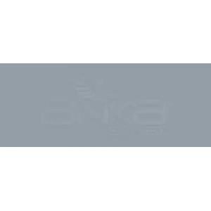 Copic Various Ink C-5 Cool Gray No.5