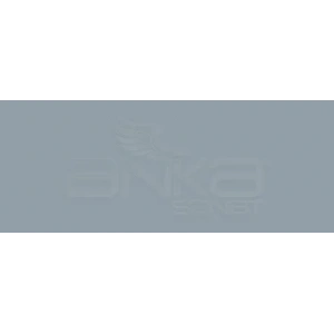 Copic Various Ink C-6 Cool Gray No.6