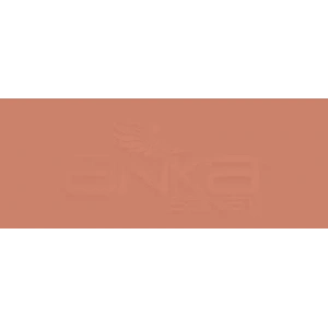 Copic Various Ink E07 Light Mahogany