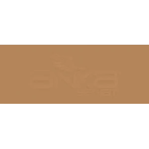 Copic Various Ink E57 Light Walnut