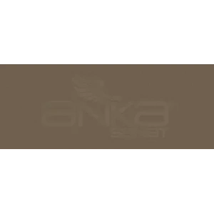 Copic Various Ink E87 Fig