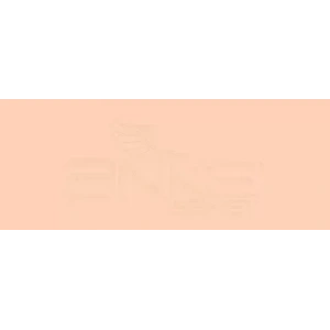 Copic Various Ink E93 Tea Rose