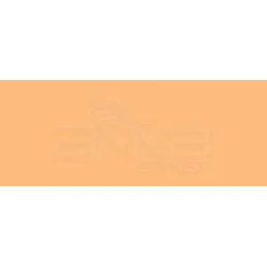 Copic Various Ink E95 Flesh Pink