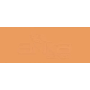 Copic Various Ink E97 Deep Orange