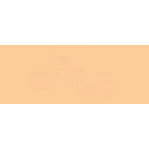 Copic Various Ink Fyr1 Fluorescent Orange