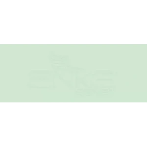 Copic Various Ink G02 Spectrum Green