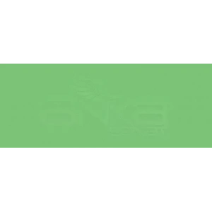 Copic Various Ink G07 Nile Green