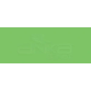 Copic Various Ink G09 Veronese Green