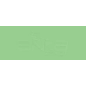 Copic Various Ink G14 Apple Green