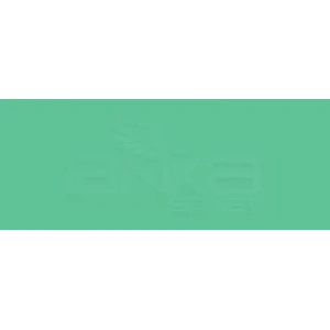 Copic Various Ink G16  Malachite