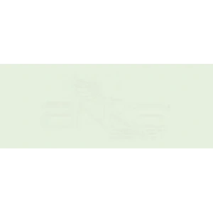 Copic Various Ink G40 Dim Green