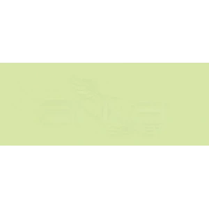 Copic Various Ink G43 Various Pistachio