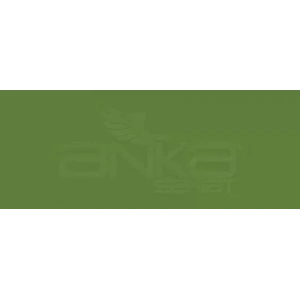 Copic Various Ink G99 Olive