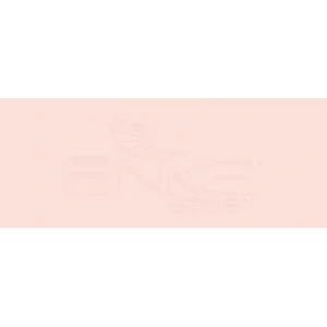 Copic Various Ink R01 Pinkish Vanilla