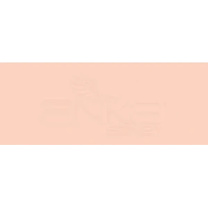 Copic Various Ink R12 Light Tea Rose