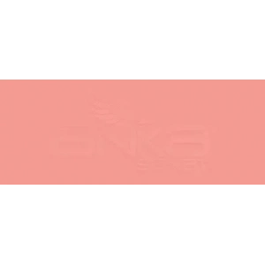 Copic Various Ink R14 Light Rouge