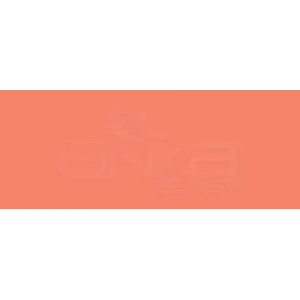 Copic Various Ink R17 Lipstick Orange