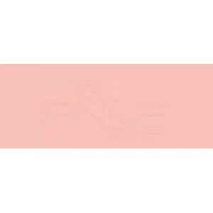 Copic Various Ink R21 Sardonyx