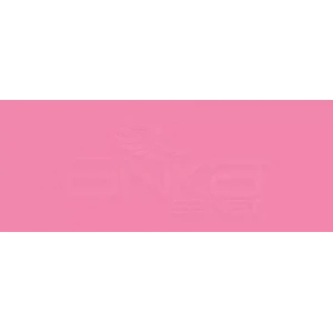 Copic Various Ink Rv06 Cerise