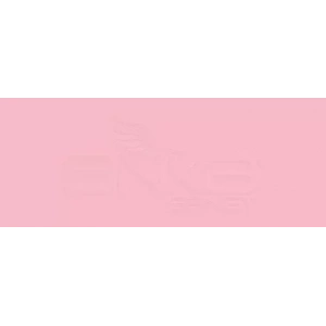 Copic Various Ink Rv23 Pure Pink